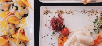 Wine Tasting and Dinner in Elegant Surroundings